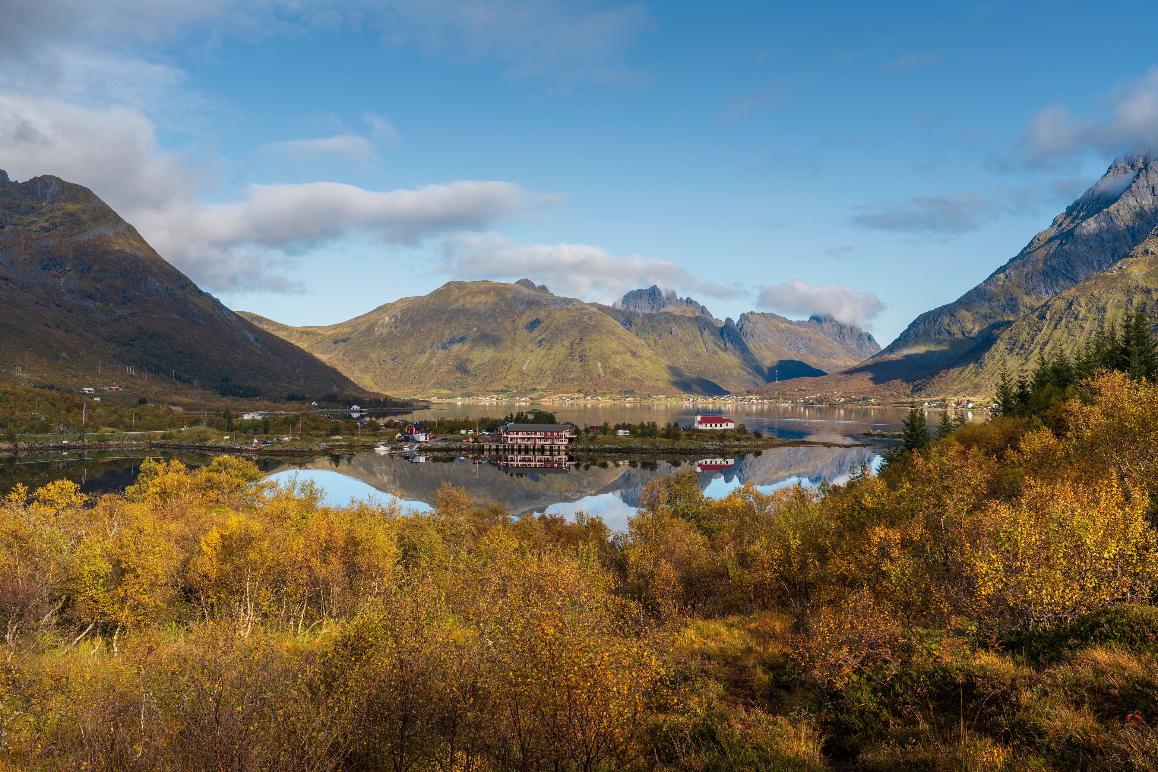Fotografie eines Fjordes im Herbst mit gelblich gefärbten Bäumen im Vordergrund.