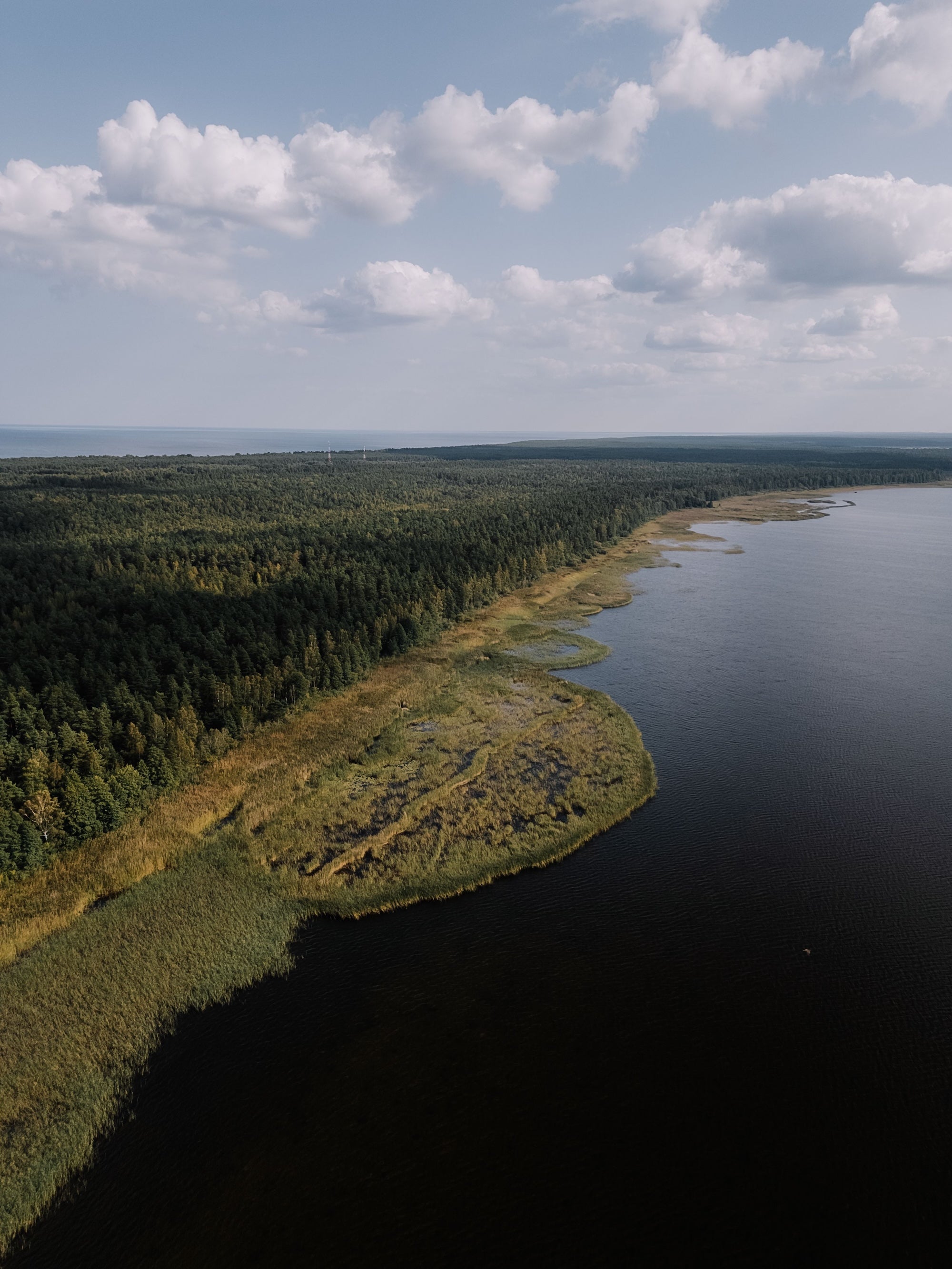 Luftaufnahme eines Küstenstreifens der grün bewachsen und bewaldet ist.