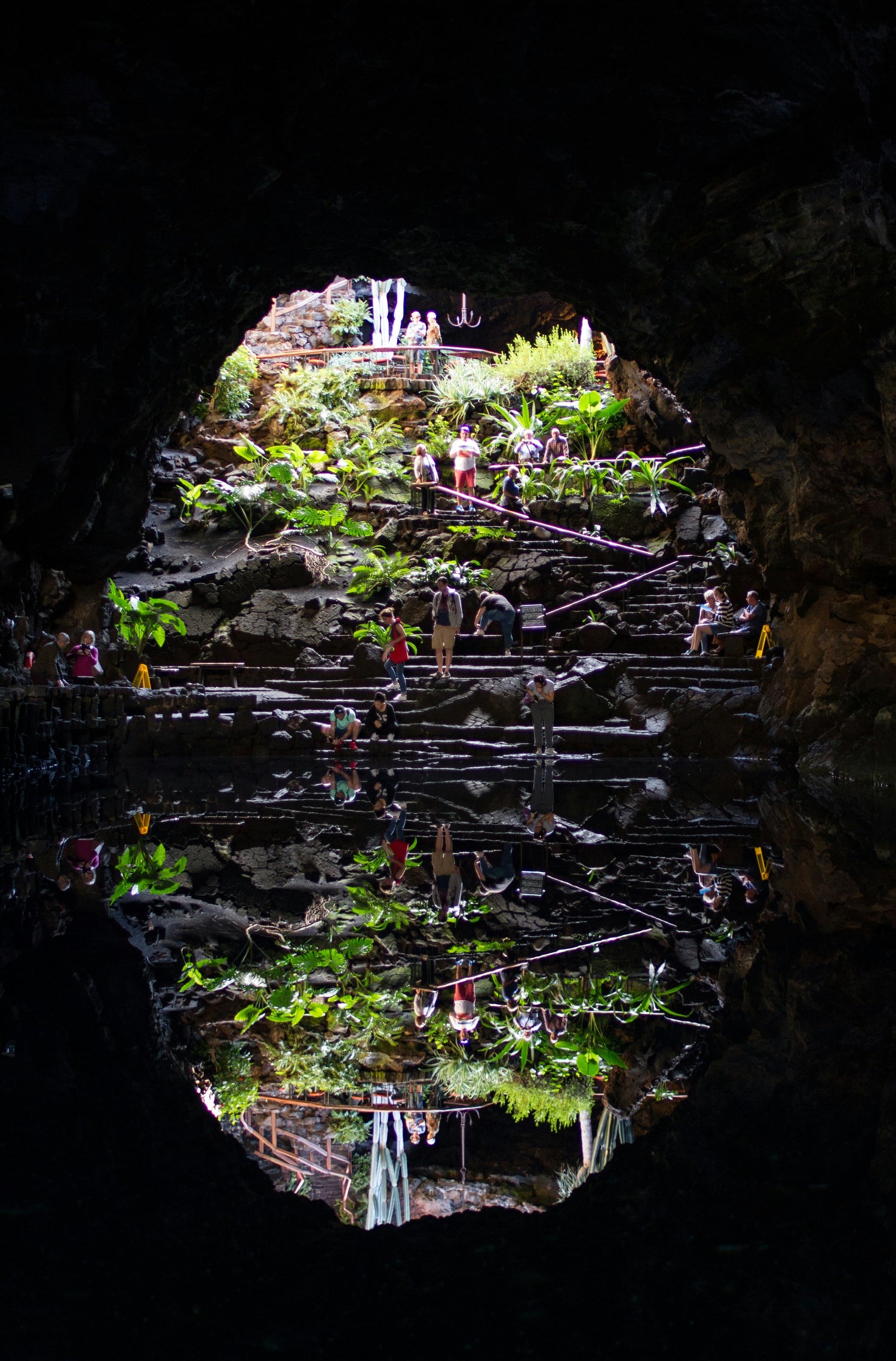 Pflanzen und Wasser in einer offenen Lavahöhle der Jameos del Agua