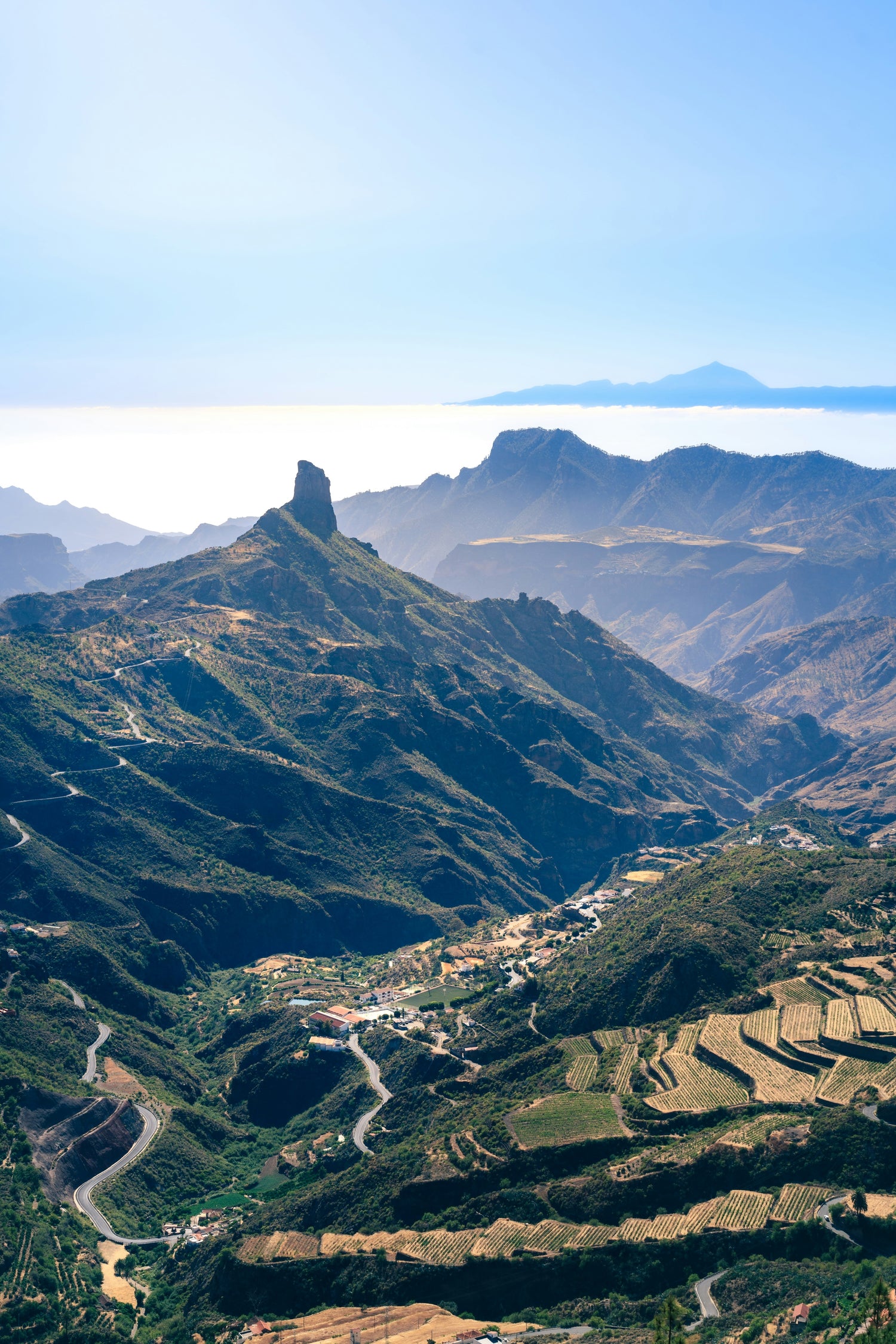 Blick über Gran Canaria mit Palmen und Grünland
