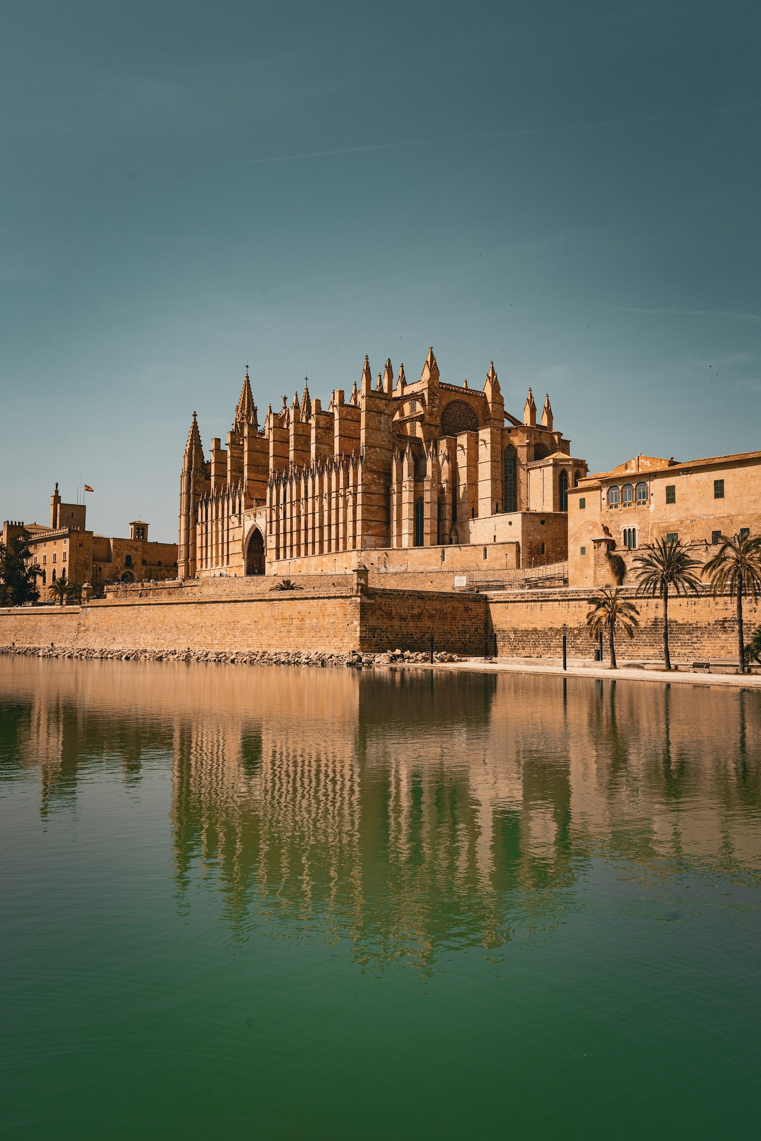 athedrale La Seu in Palma mit Spiegelung im Wasser